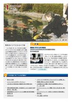  Żҽ ٥ȥ饤 2010ǯ1